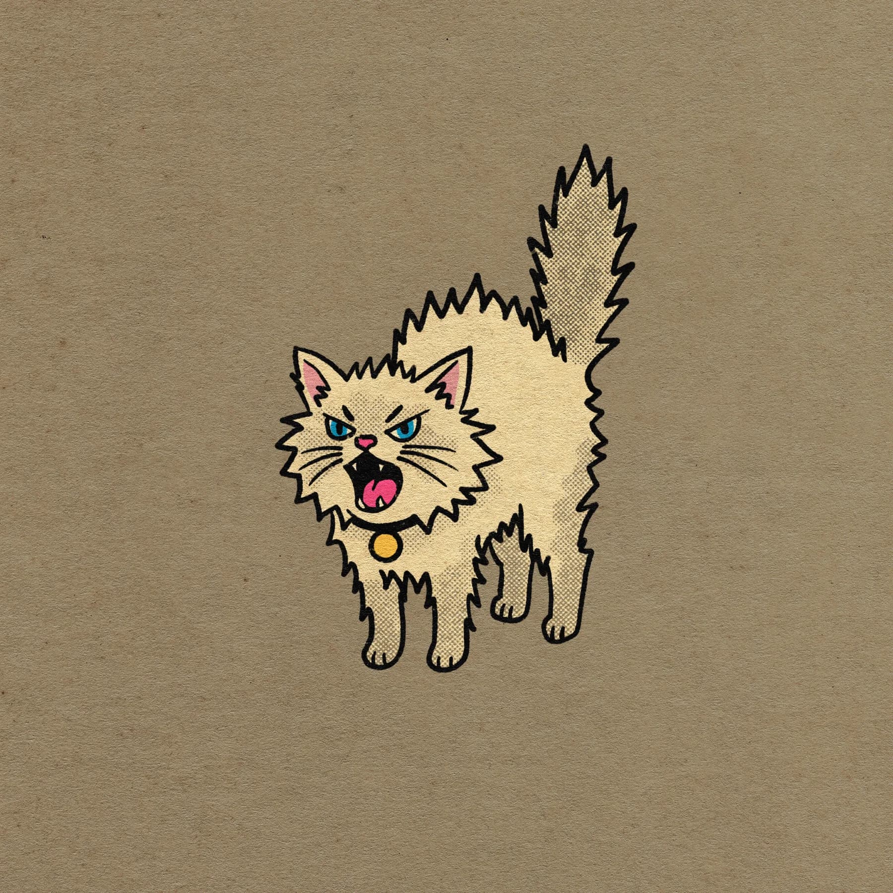 Merc arched and hissing with his fur on end, a gold tag on his collar.