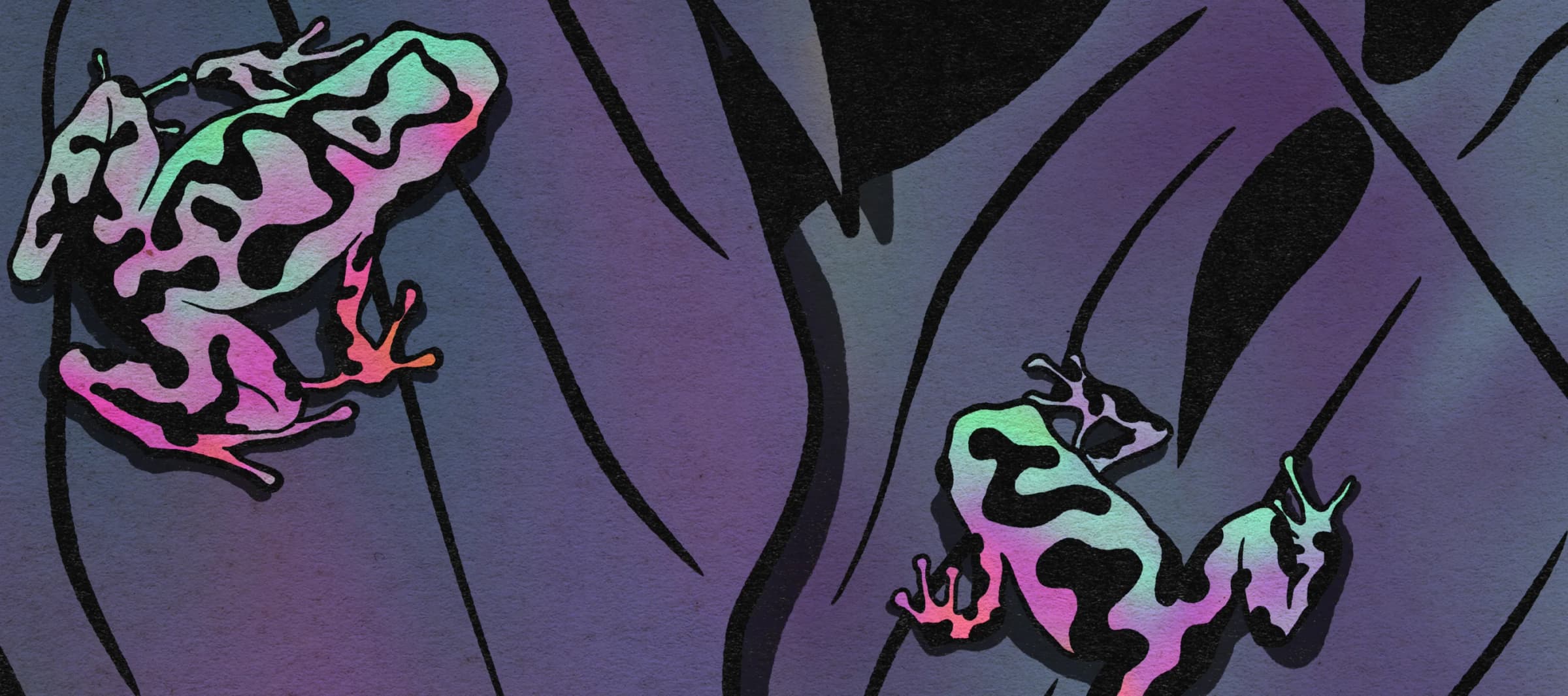 A wide desk mat design, two poison dart frogs in mint, pink and black on a violet field of dark leaves.